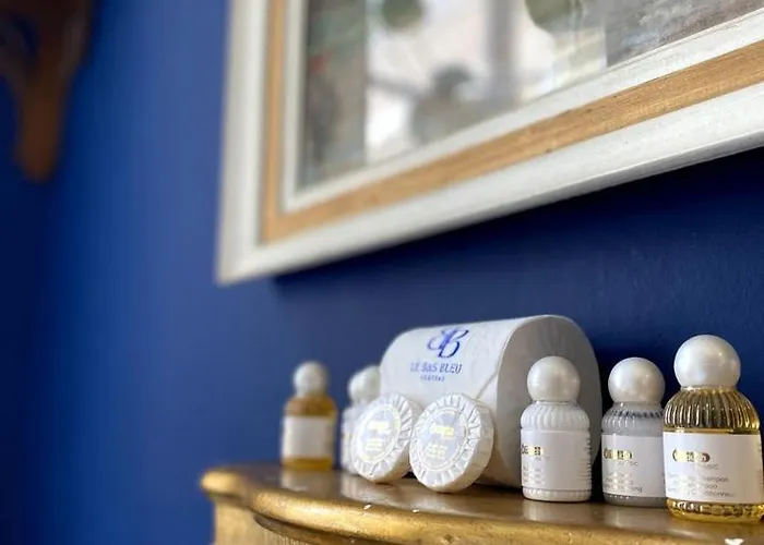 Homestay D'hotes Marina - Chateau Le Bas Bleu *